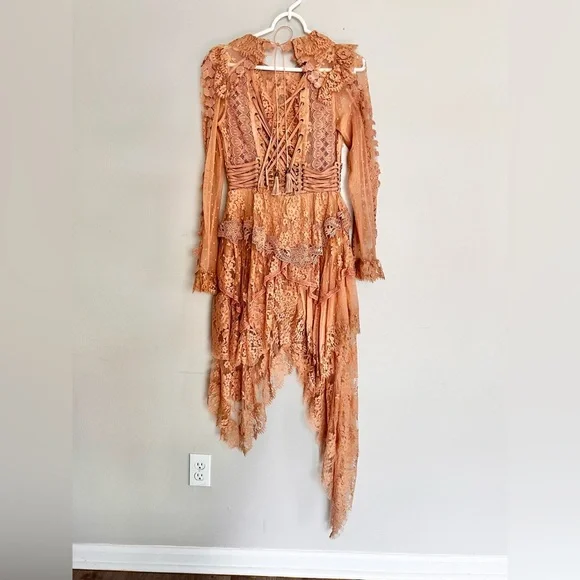 Super Rare 2017 Zimmermann Bowerbird Romance Mini Dress Runway Dress Size 1 - Picture 8 of 13